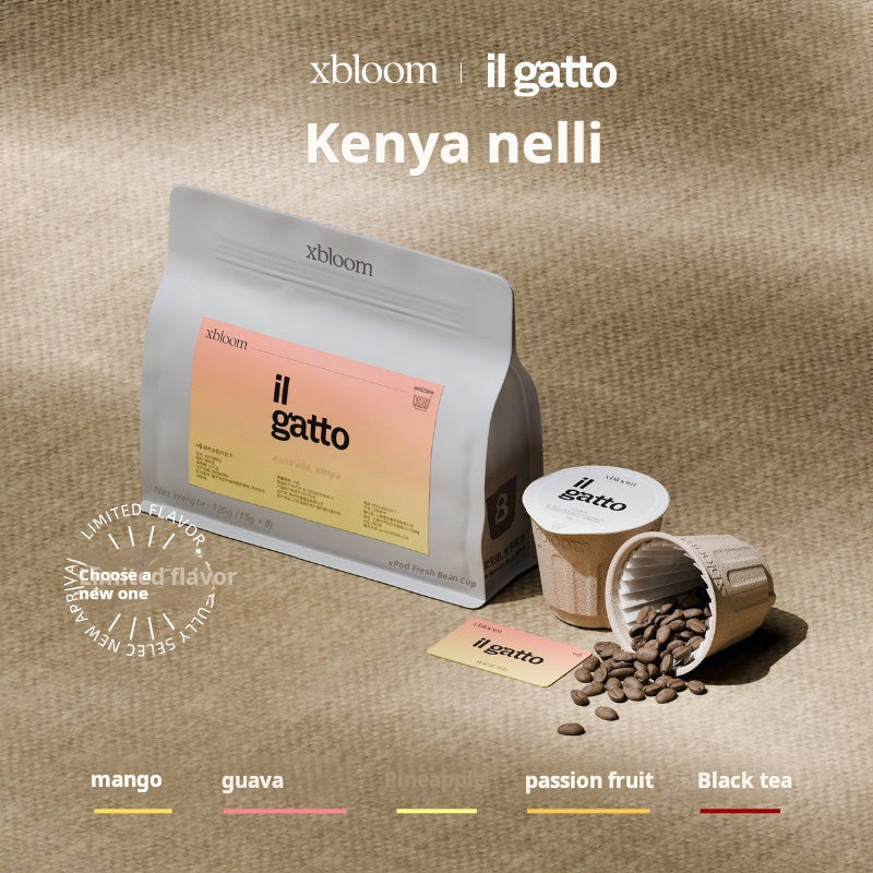 A promotional image showing the il gatto Kenya Nelli coffee bag and XBloom xpods coffee capsules, featuring color-coded flavor notes for mango, guava, passion fruit, and black tea at the bottom.