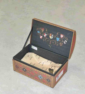 Puma Easy Rider Harry Potter special edition open chest packaging box with Gryffindor crest detail.